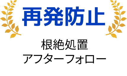 明朗会計。お見積もり後の追加料金なし。